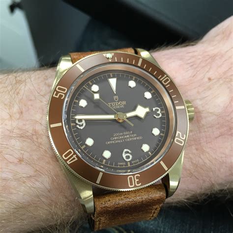 tudor bronze review